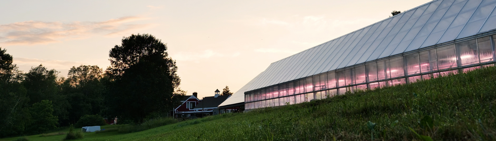 CEA greenhouse at dusk